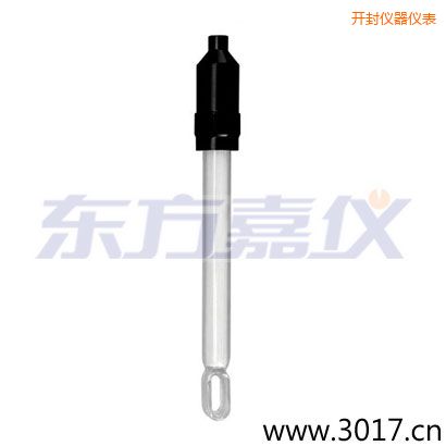 開封玻璃外殼無溫補兩線電導率電極