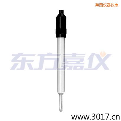 萊西玻璃外殼無溫補兩線電導(dǎo)率電極