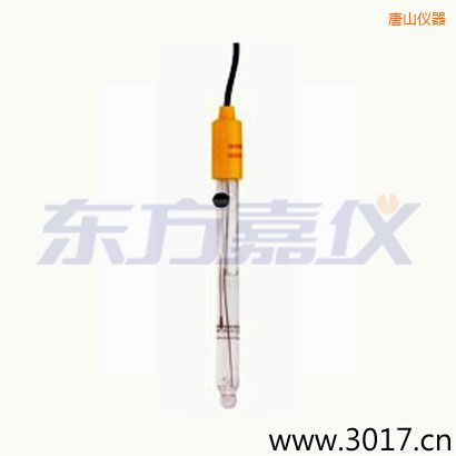 唐山可填充玻璃管電極