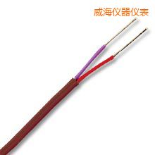 威海T型熱電偶補償導線