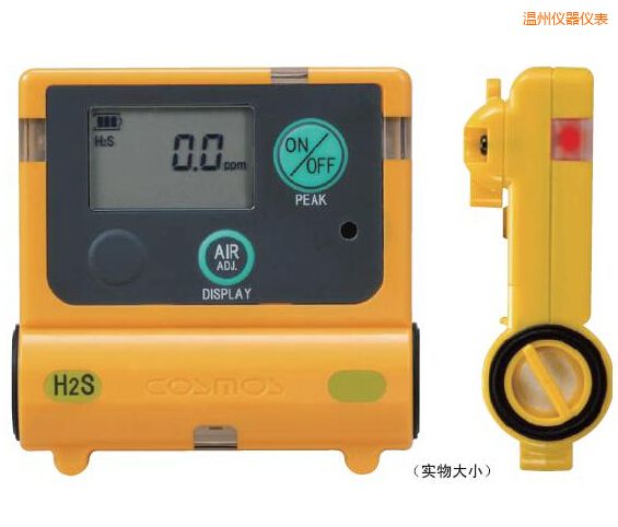 溫州硫化氫計