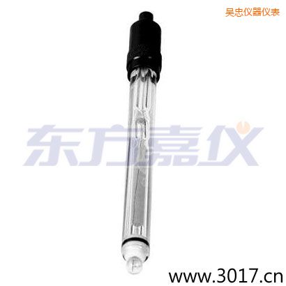 吳忠玻璃外殼純水電極