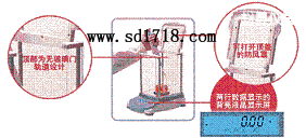 �w�h���M����ƽ,310g,0.001g